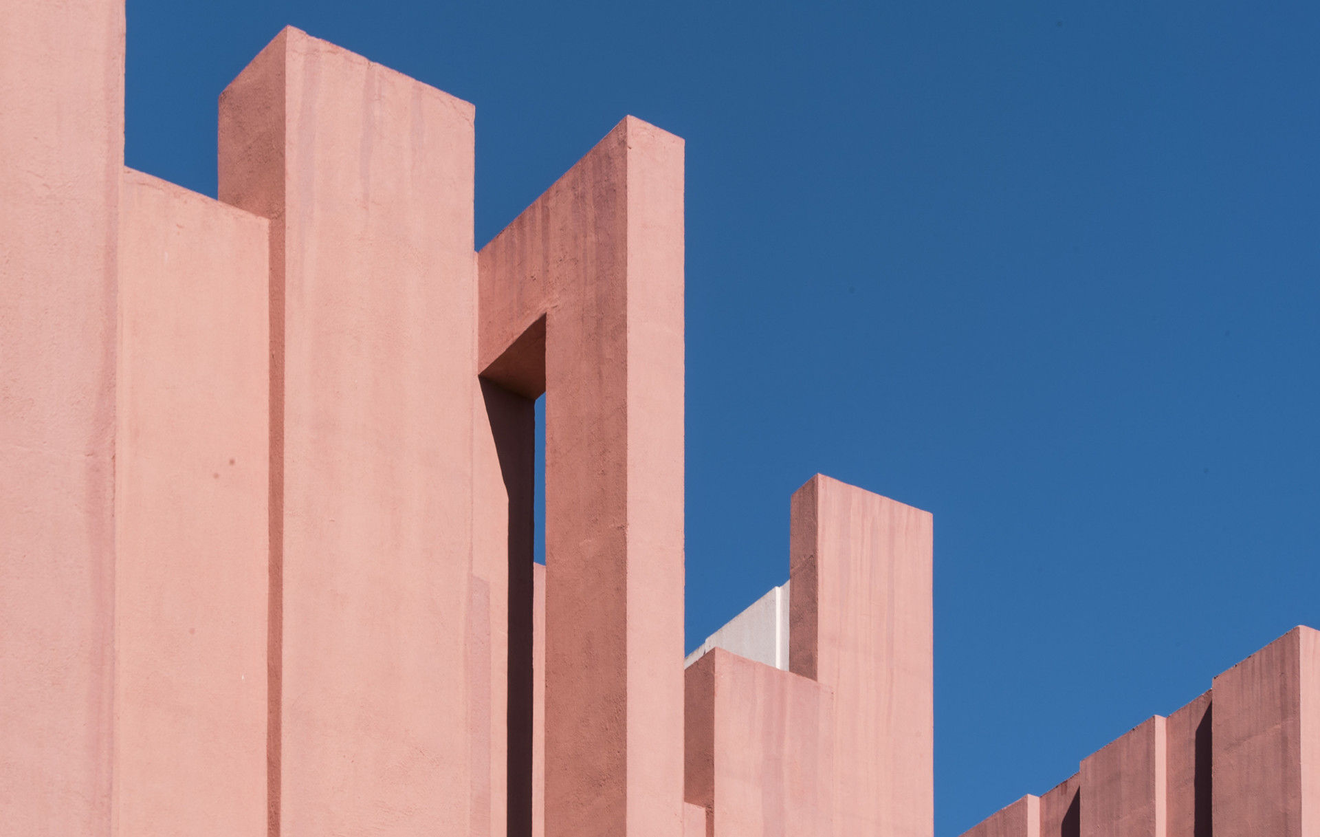 MARTINA ROSA LA MURALLA ROJA