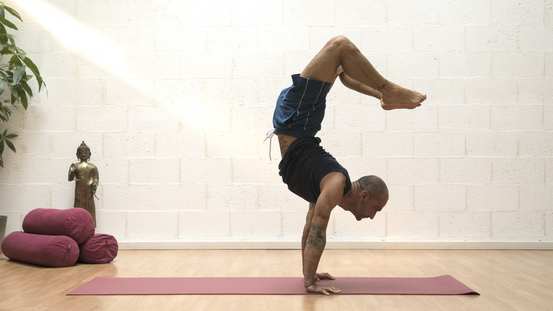 MARTINA ROSA YOGA