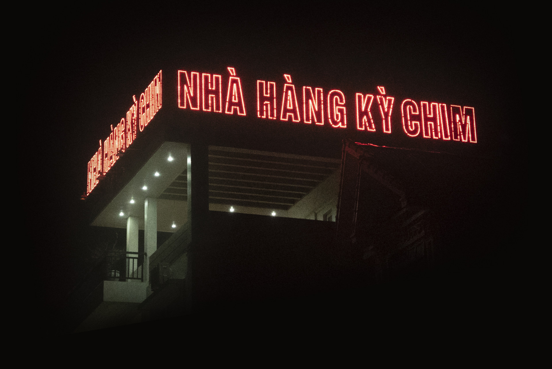 MARTINA ROSA NINH:BINH:NEON