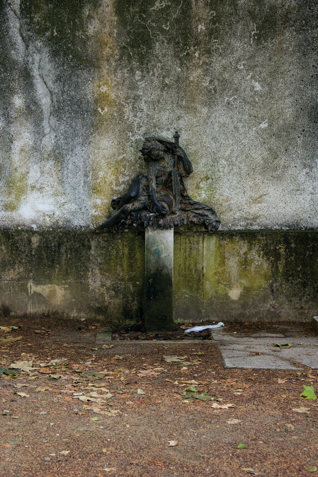 MARTINA ROSA JARDIM BOTANICO DE COIMBRA