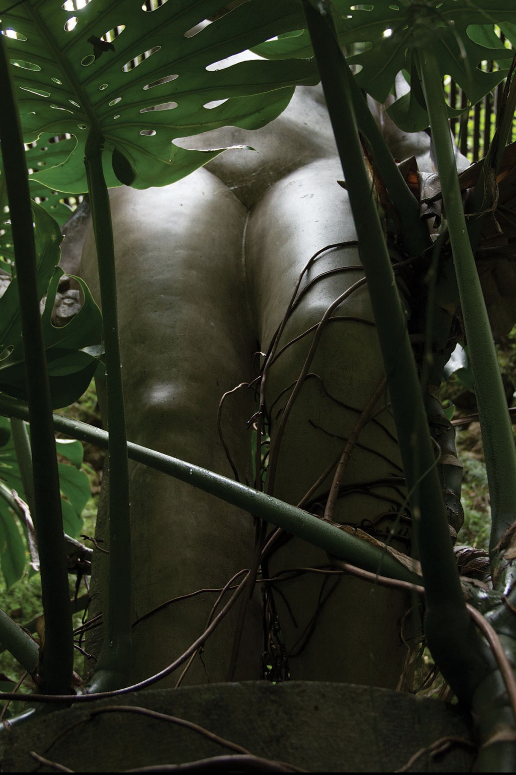 MARTINA ROSA JARDIM BOTANICO DE COIMBRA