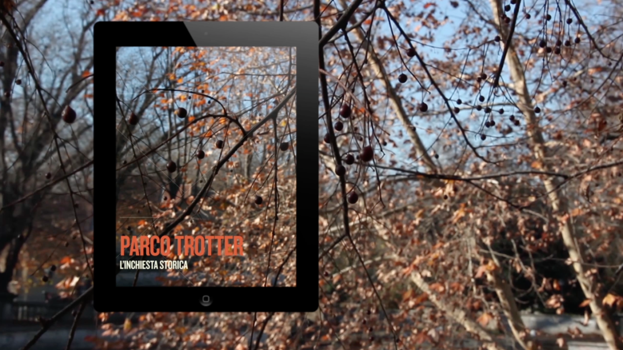 MARTINA ROSA FRAME MAGAZINE