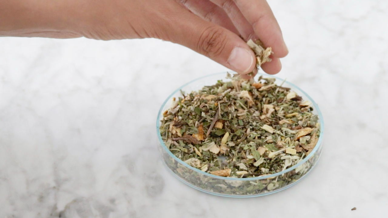 MARTINA ROSA WILDEN HERBALS