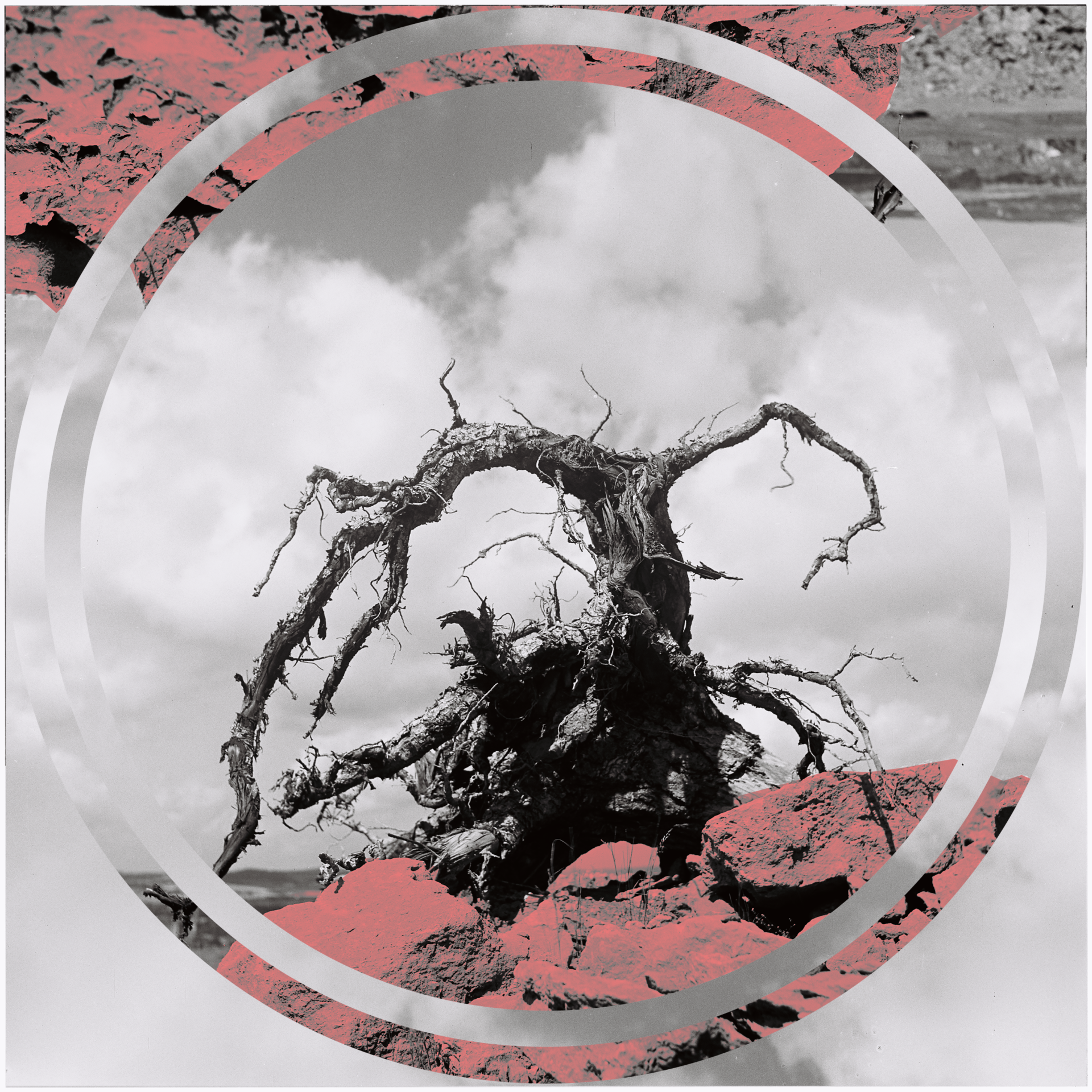 MARTINA ROSA REMIXING INDUSTRIAL PASTS